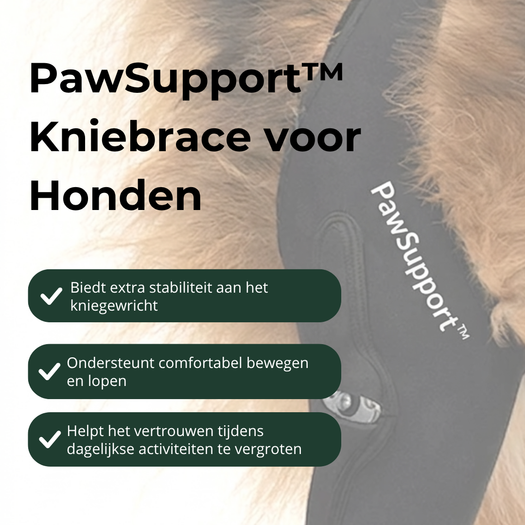 PawSupport™ Kniebrace voor Honden