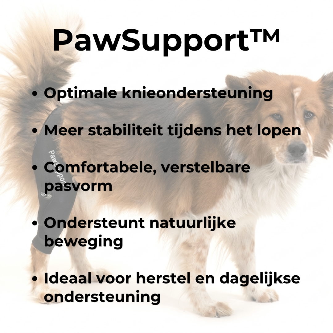 PawSupport™ Kniebrace voor Honden