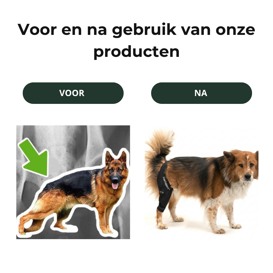 PawSupport™ Kniebrace voor Honden