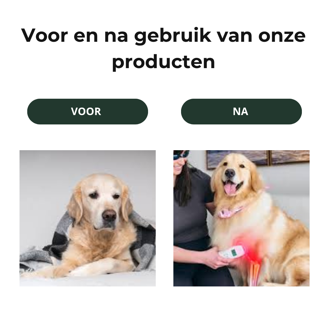 LumaPulse™ Koud Laser Therapie Apparaat voor Huisdieren