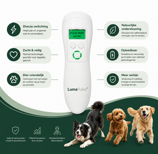 LumaPulse™ Koud Laser Therapie Apparaat voor Huisdieren