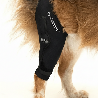 PawSupport™ Kniebrace voor Honden